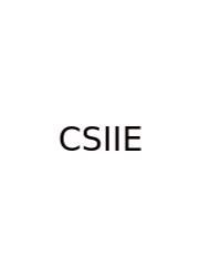 Caste System In India Essay