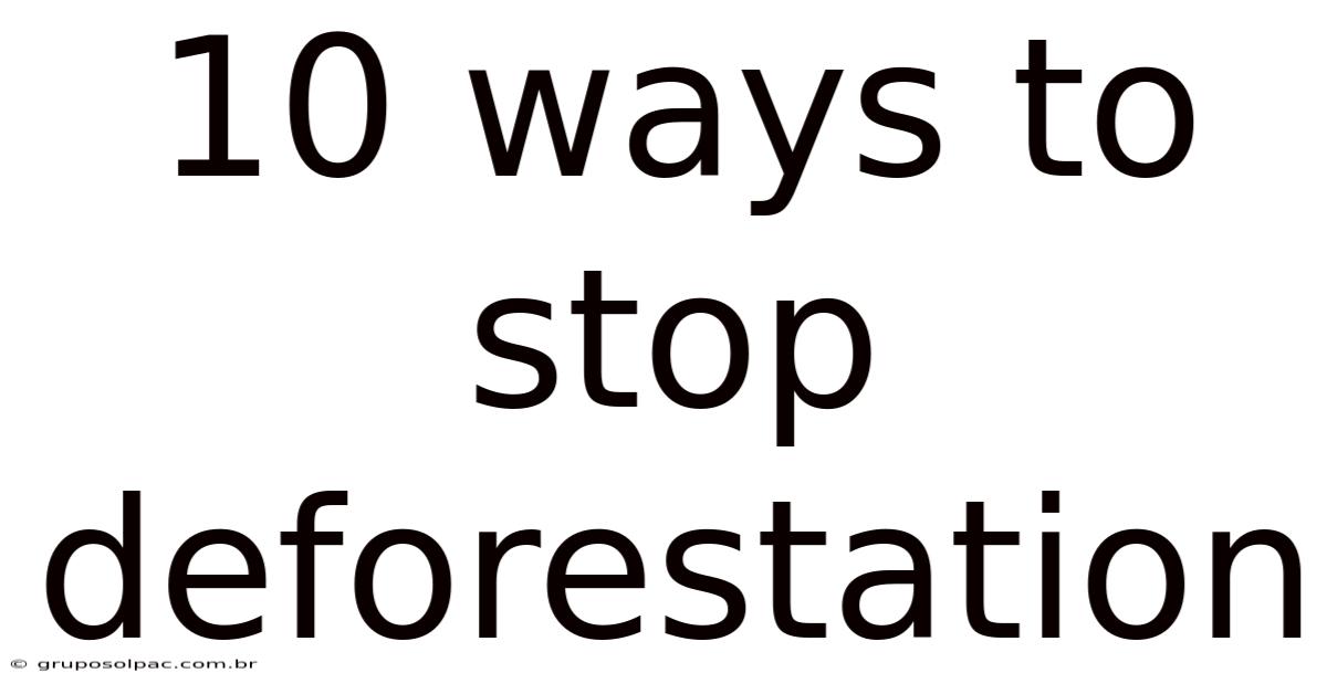 10 Ways To Stop Deforestation