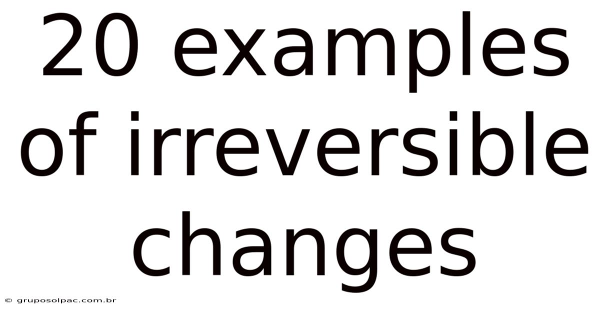 20 Examples Of Irreversible Changes