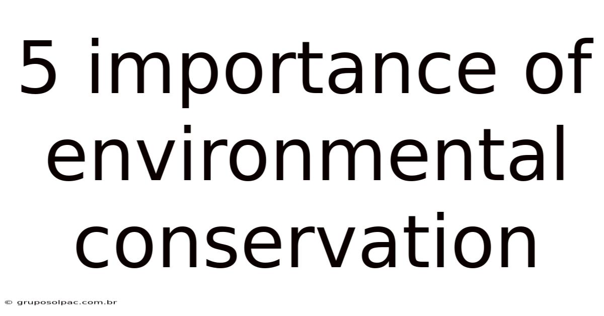 5 Importance Of Environmental Conservation