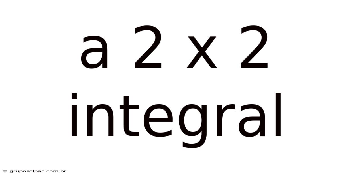 A 2 X 2 Integral