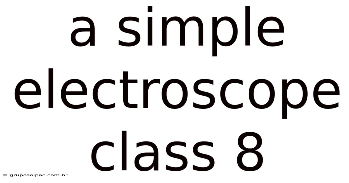 A Simple Electroscope Class 8