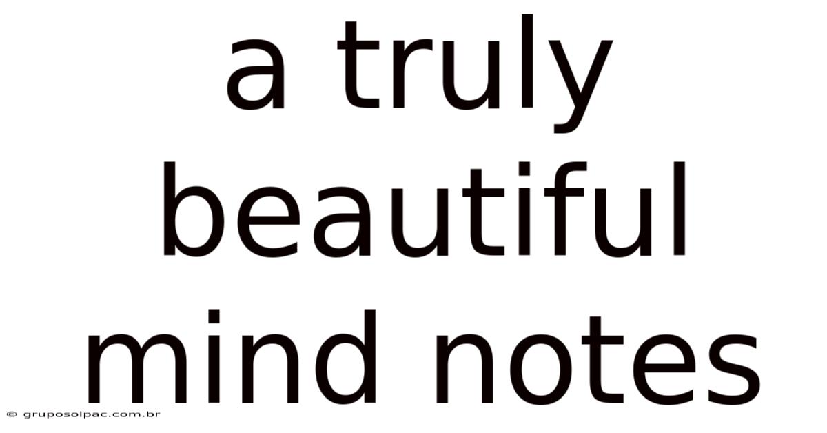 A Truly Beautiful Mind Notes