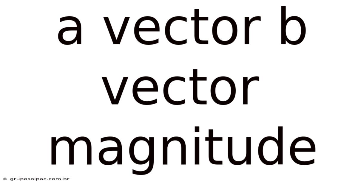 A Vector B Vector Magnitude