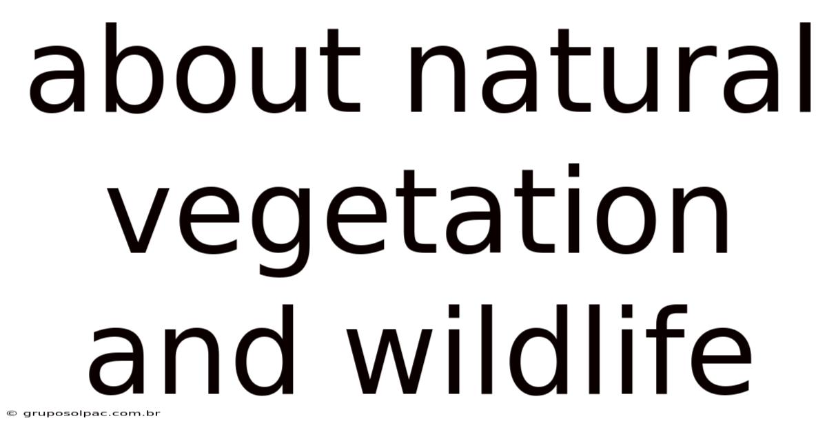 About Natural Vegetation And Wildlife