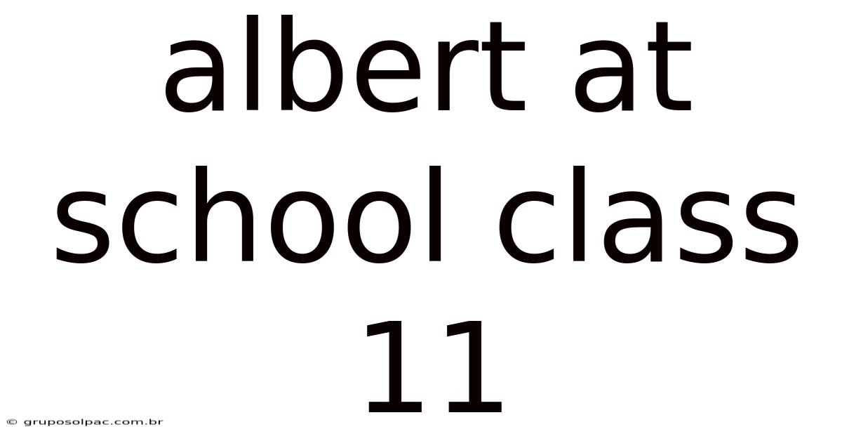 Albert At School Class 11