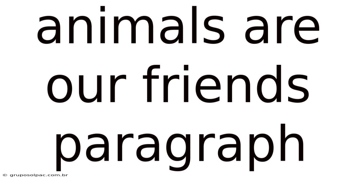 Animals Are Our Friends Paragraph