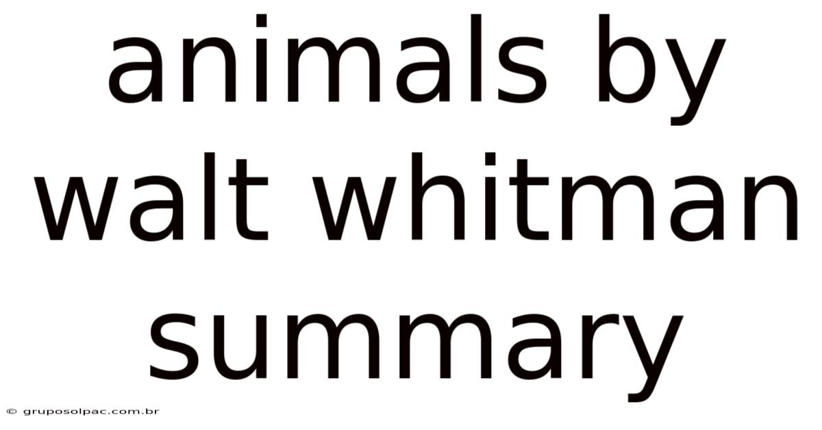 Animals By Walt Whitman Summary