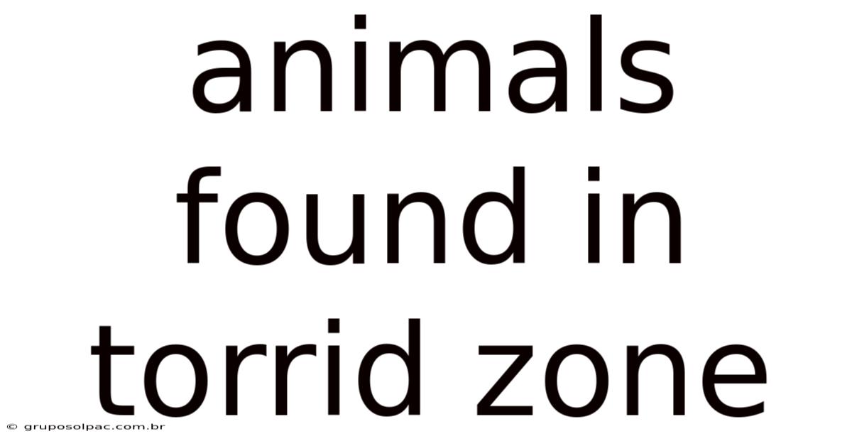 Animals Found In Torrid Zone