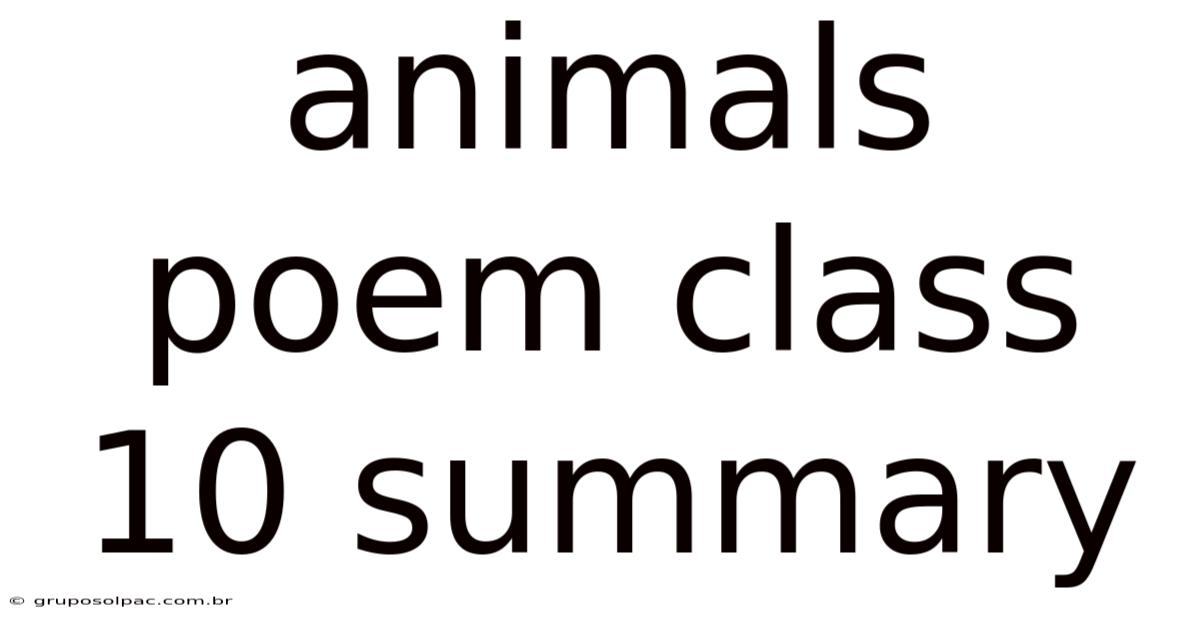 Animals Poem Class 10 Summary