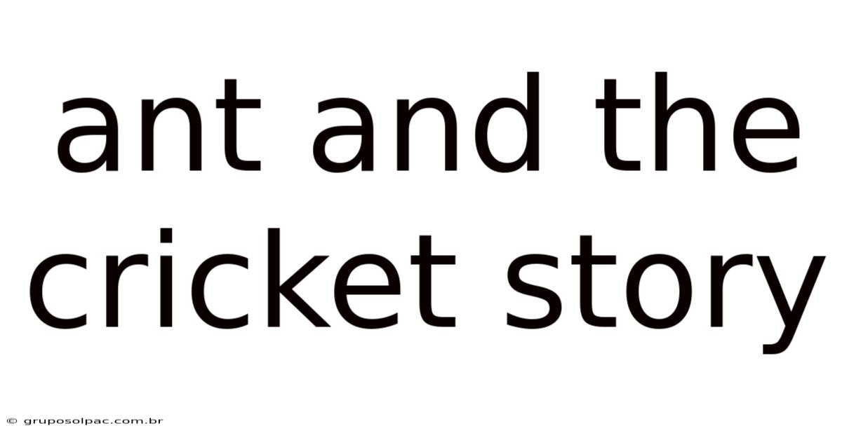 Ant And The Cricket Story