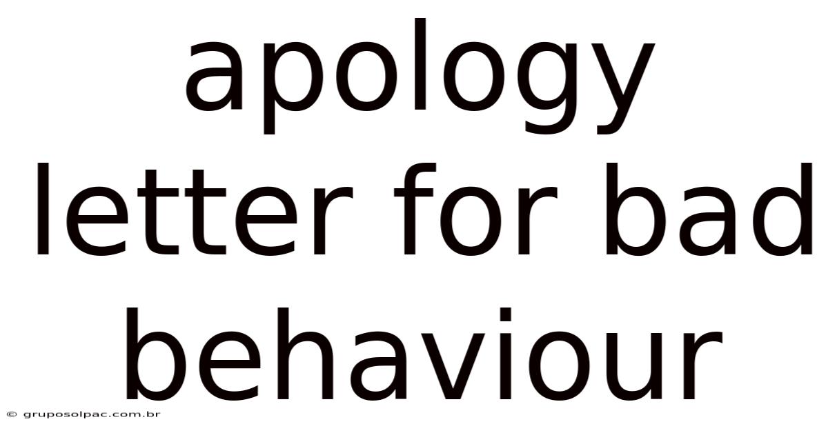 Apology Letter For Bad Behaviour