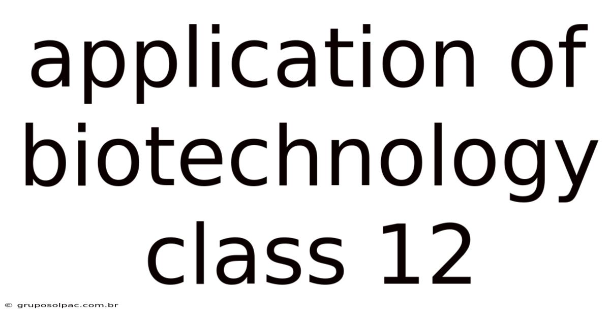 Application Of Biotechnology Class 12