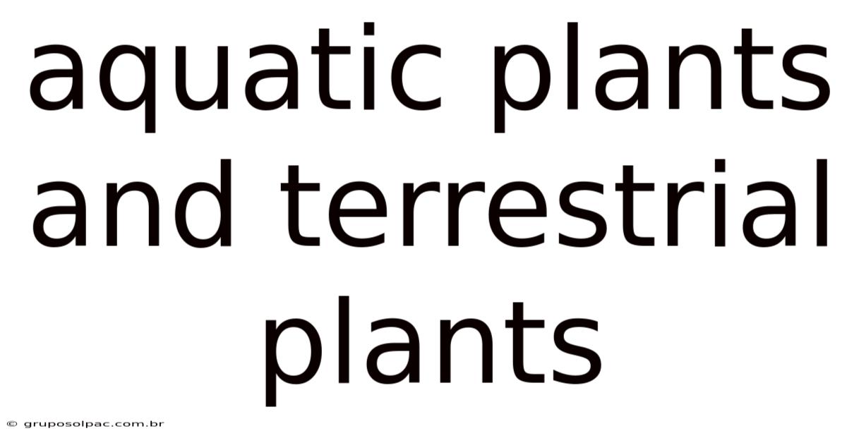 Aquatic Plants And Terrestrial Plants