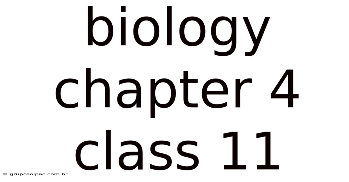 Biology Chapter 4 Class 11
