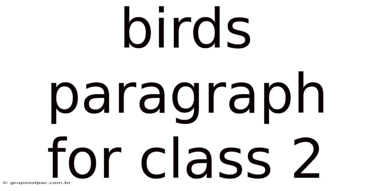 Birds Paragraph For Class 2