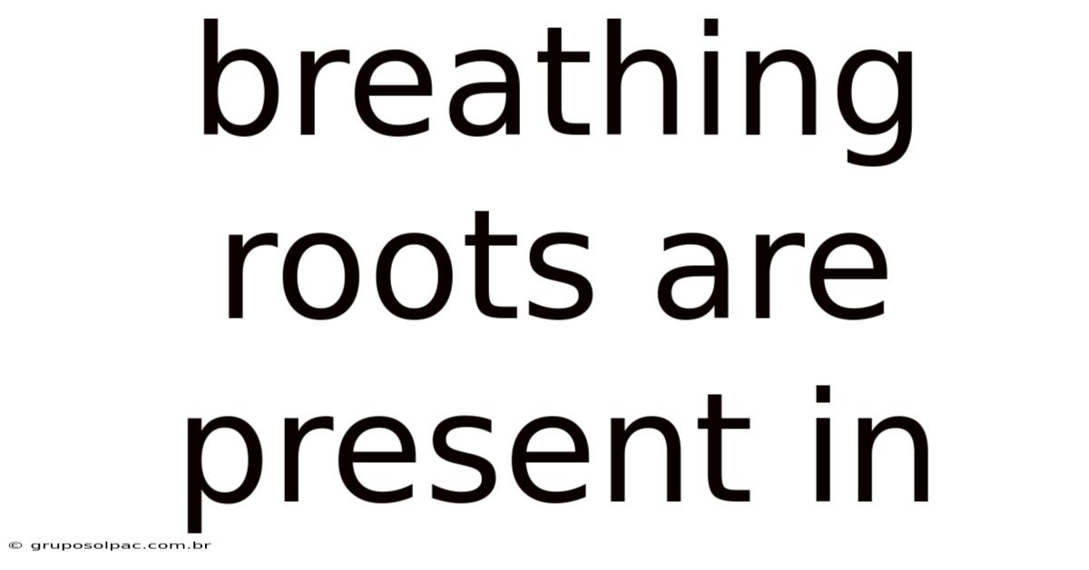Breathing Roots Are Present In