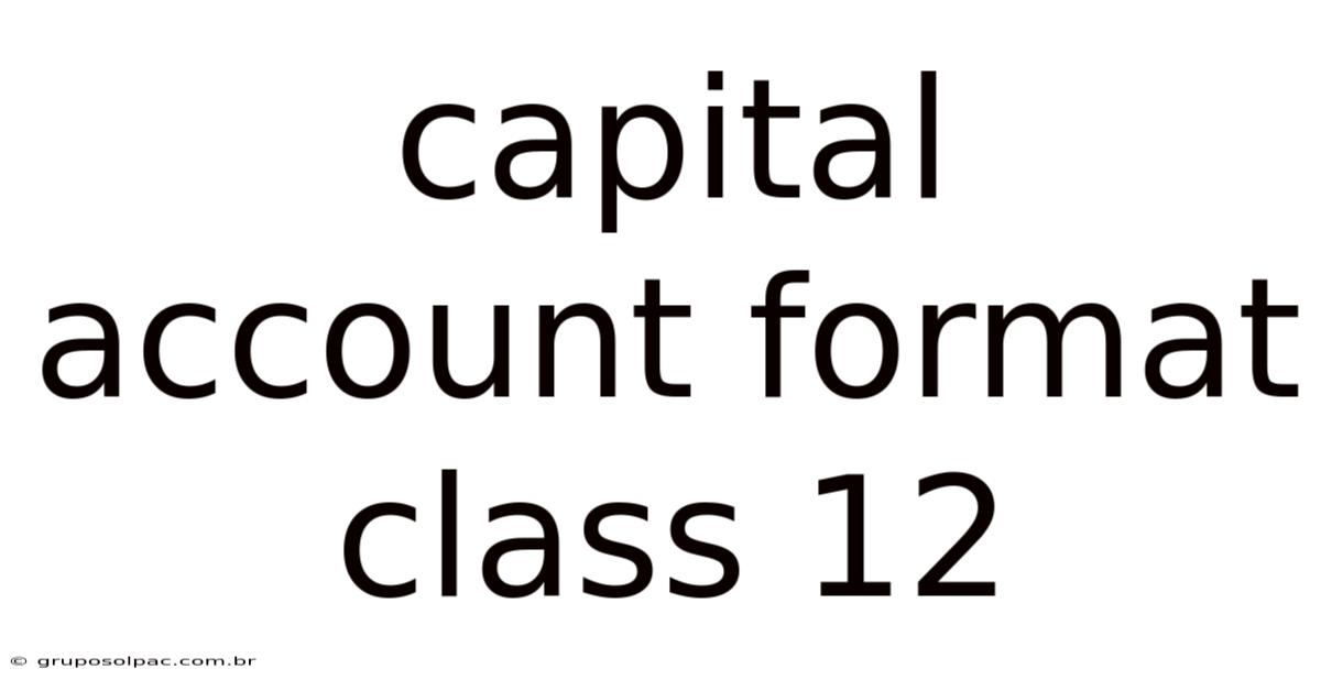 Capital Account Format Class 12