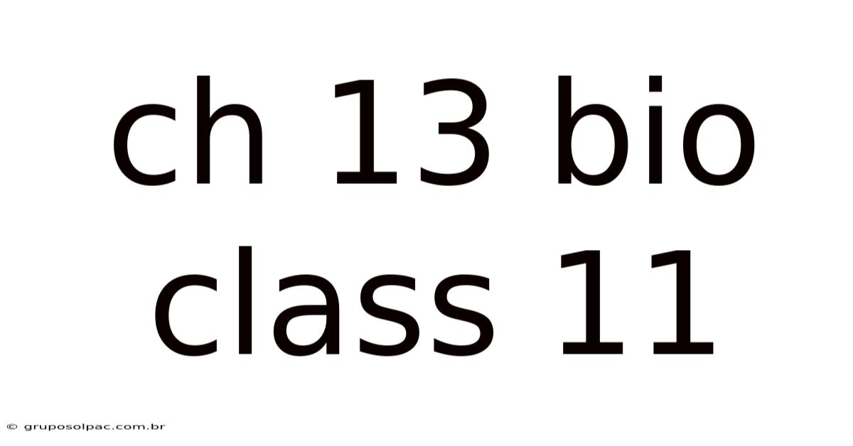 Ch 13 Bio Class 11