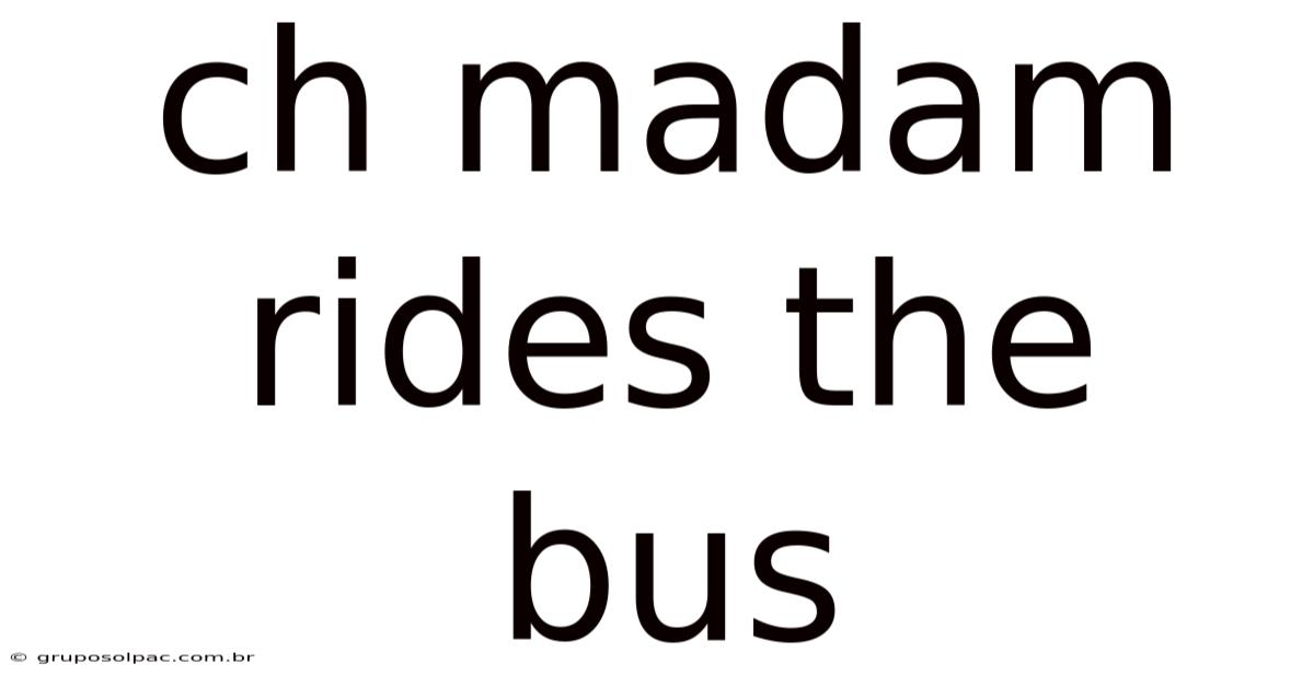 Ch Madam Rides The Bus