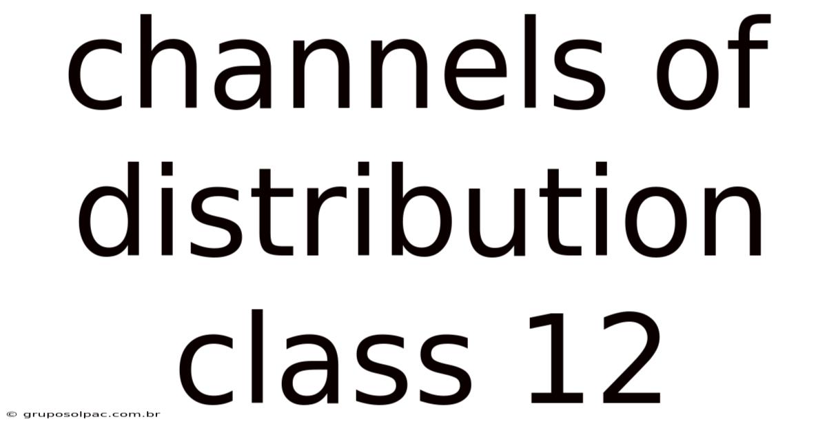 Channels Of Distribution Class 12