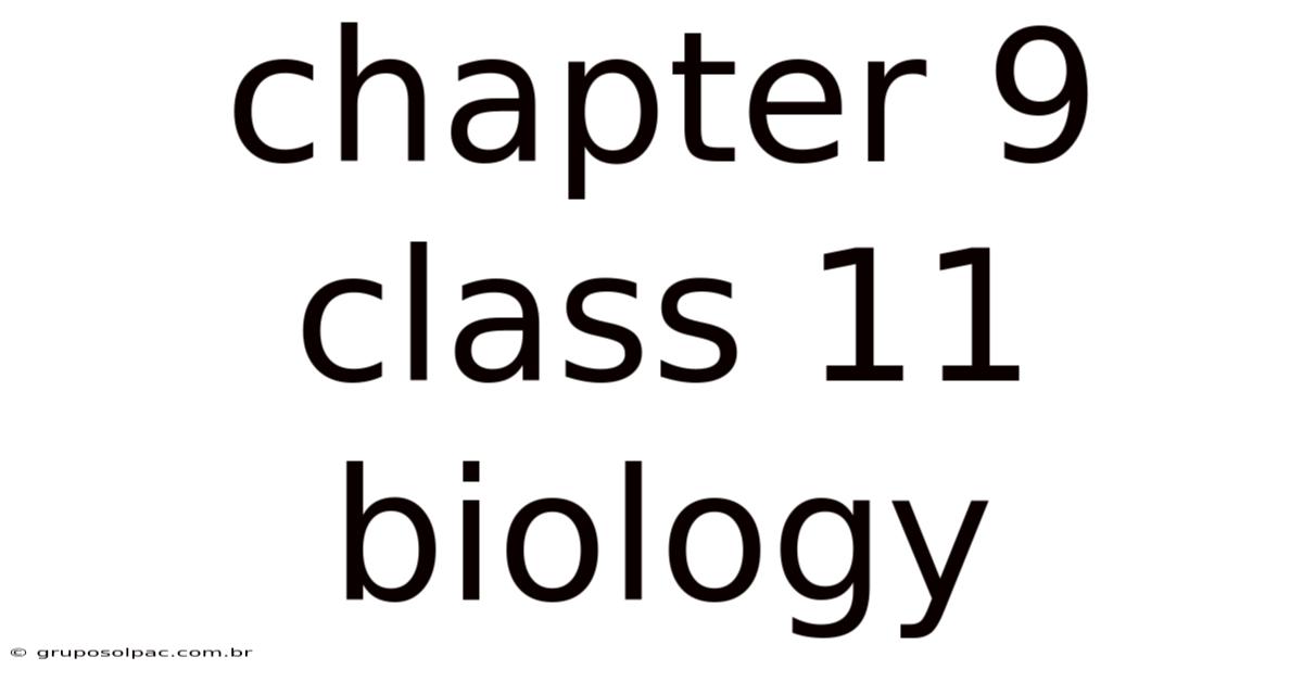 Chapter 9 Class 11 Biology