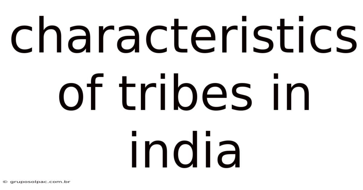 Characteristics Of Tribes In India