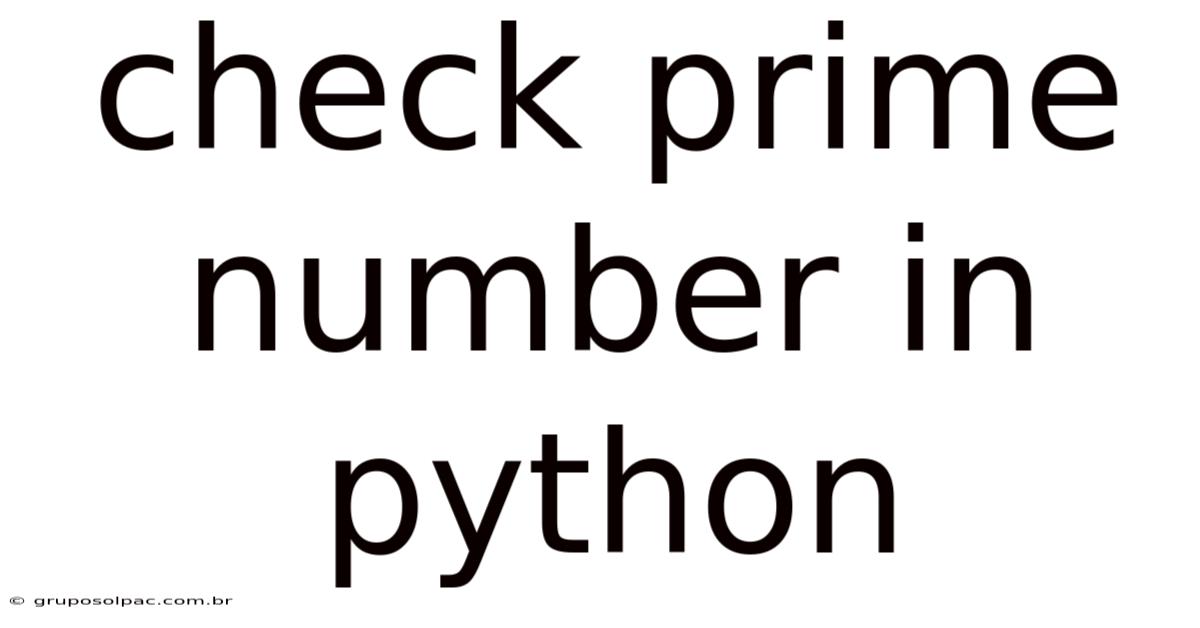 Check Prime Number In Python