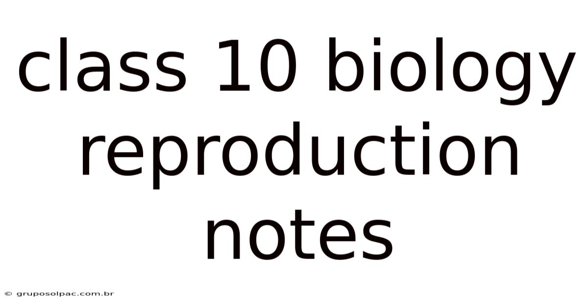 Class 10 Biology Reproduction Notes