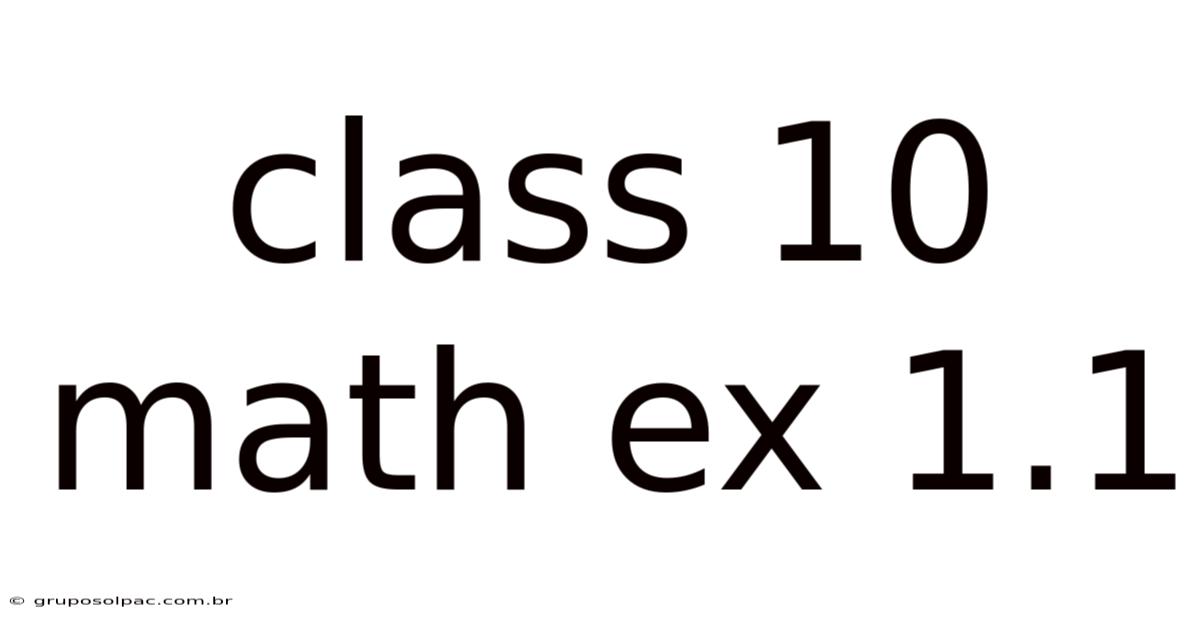 Class 10 Math Ex 1.1