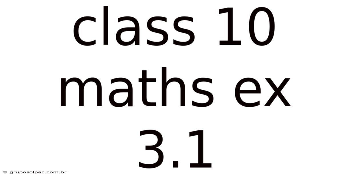 Class 10 Maths Ex 3.1