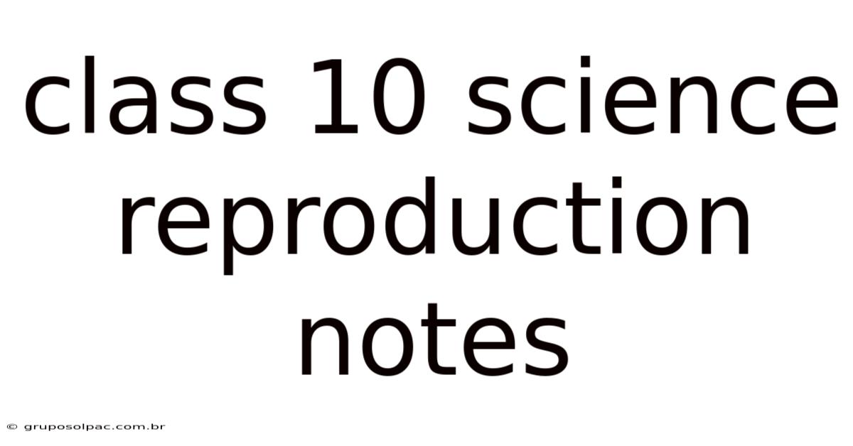 Class 10 Science Reproduction Notes