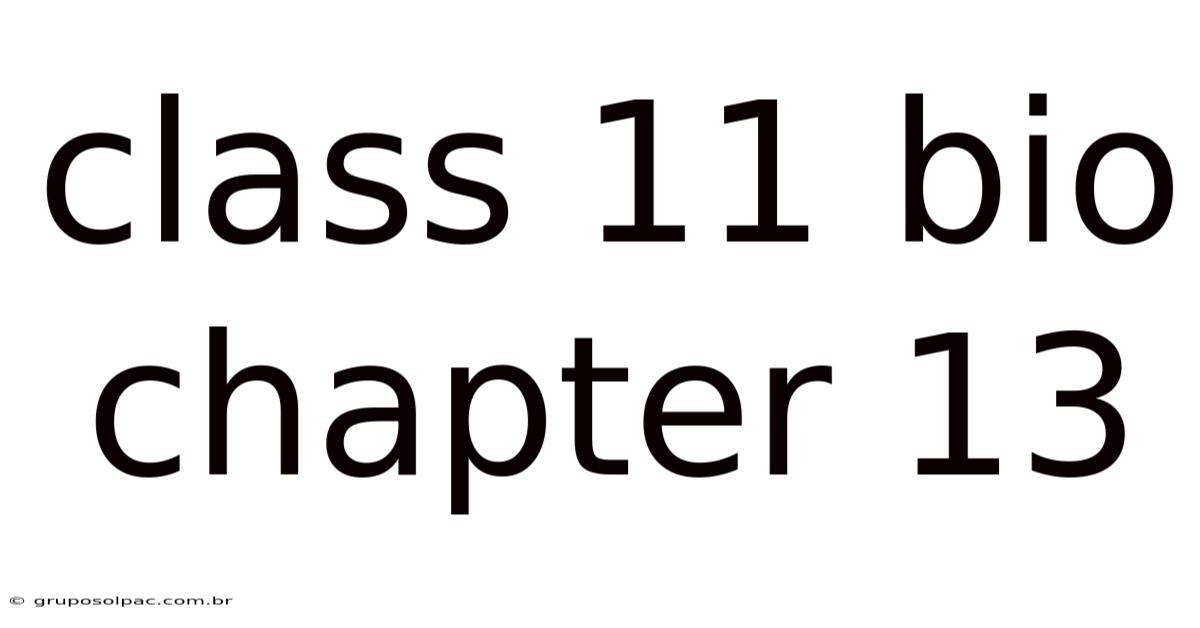 Class 11 Bio Chapter 13