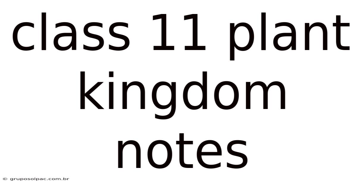 Class 11 Plant Kingdom Notes
