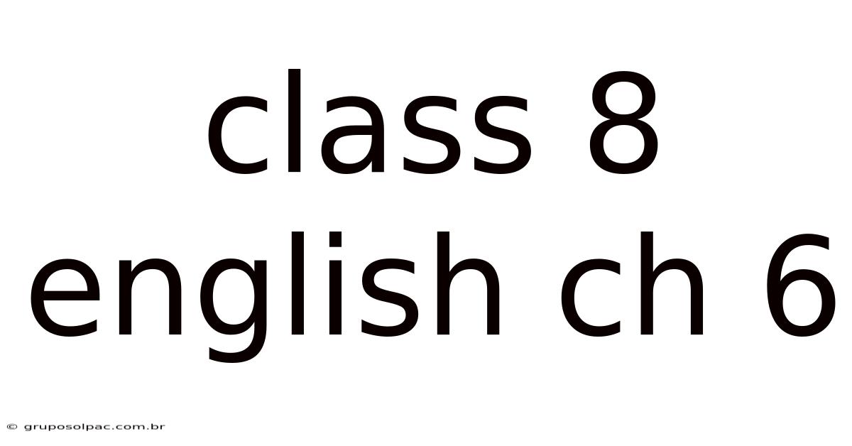 Class 8 English Ch 6