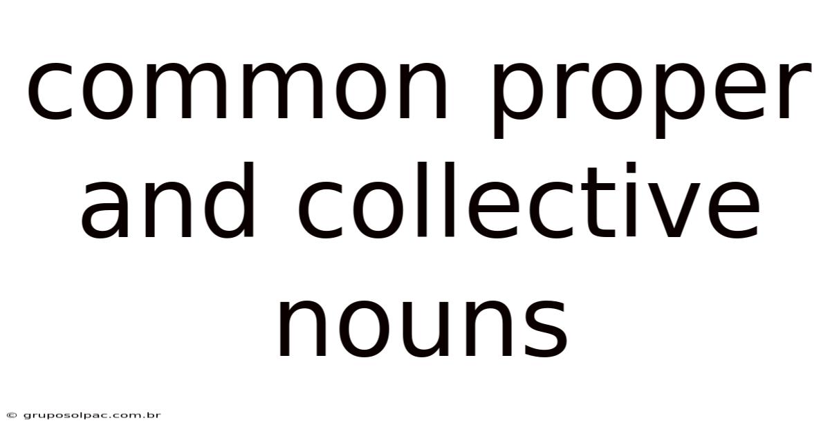 Common Proper And Collective Nouns