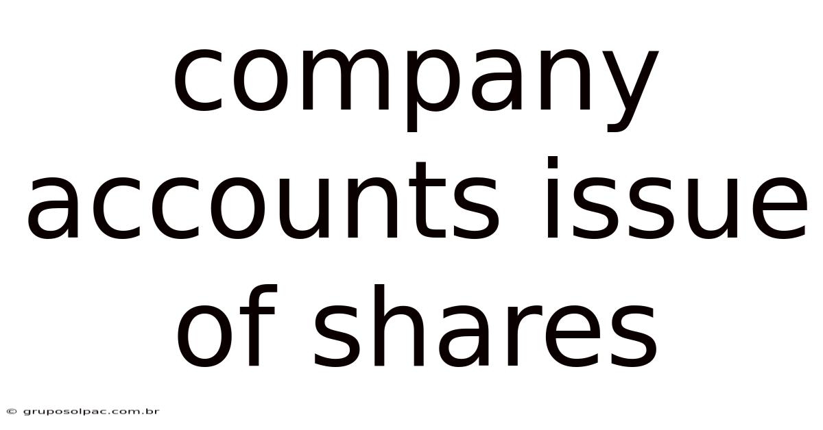 Company Accounts Issue Of Shares