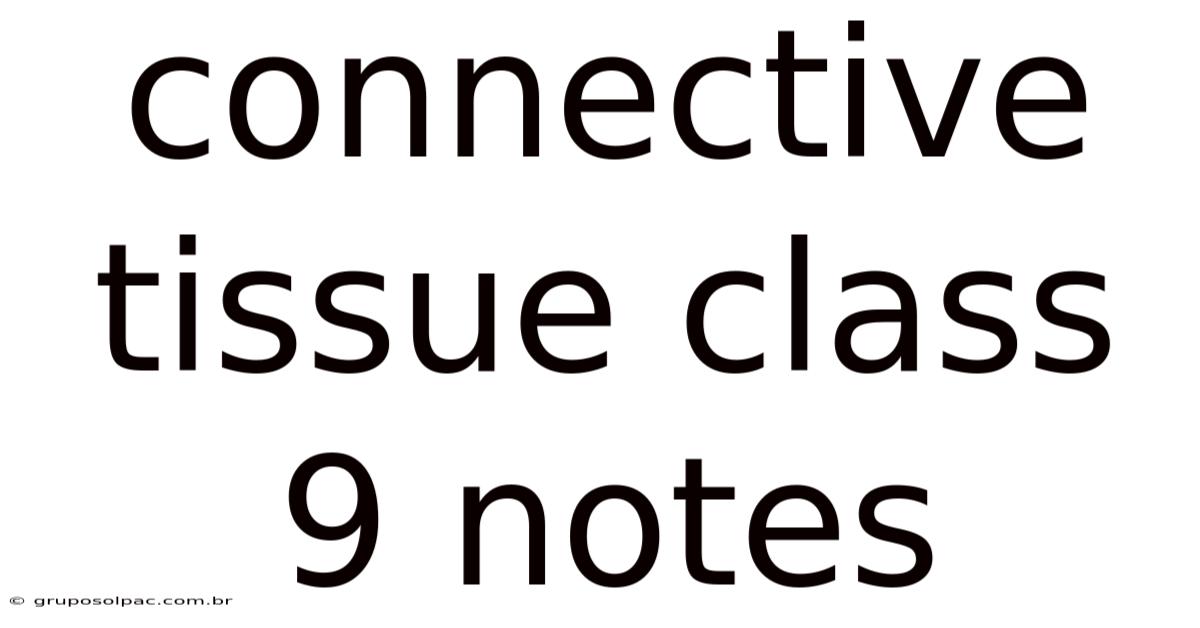 Connective Tissue Class 9 Notes