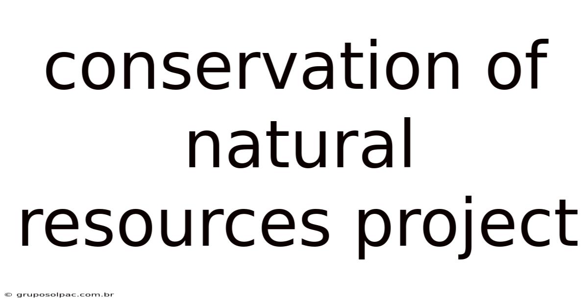 Conservation Of Natural Resources Project