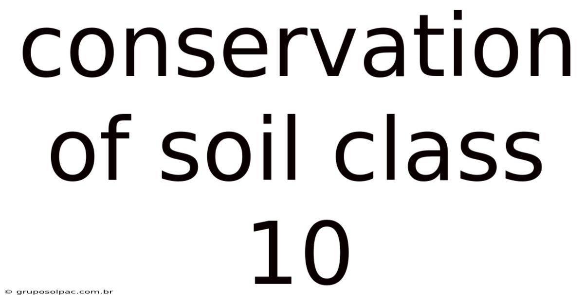 Conservation Of Soil Class 10