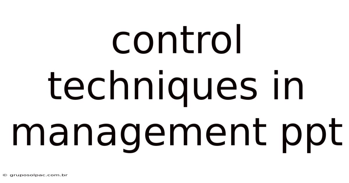 Control Techniques In Management Ppt