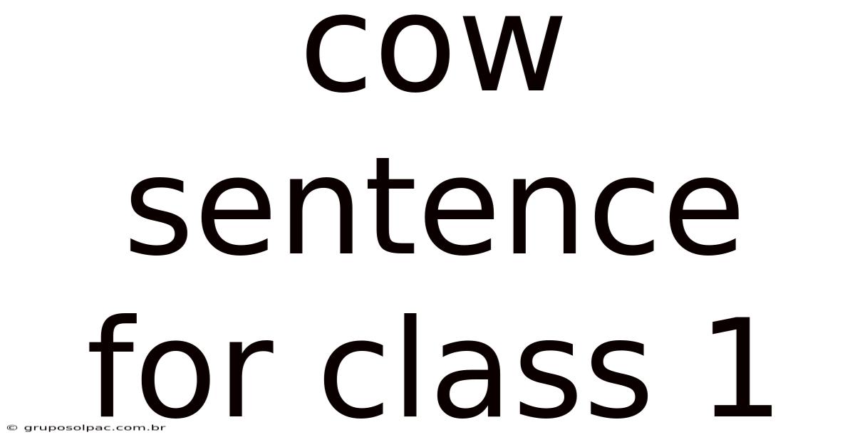 Cow Sentence For Class 1
