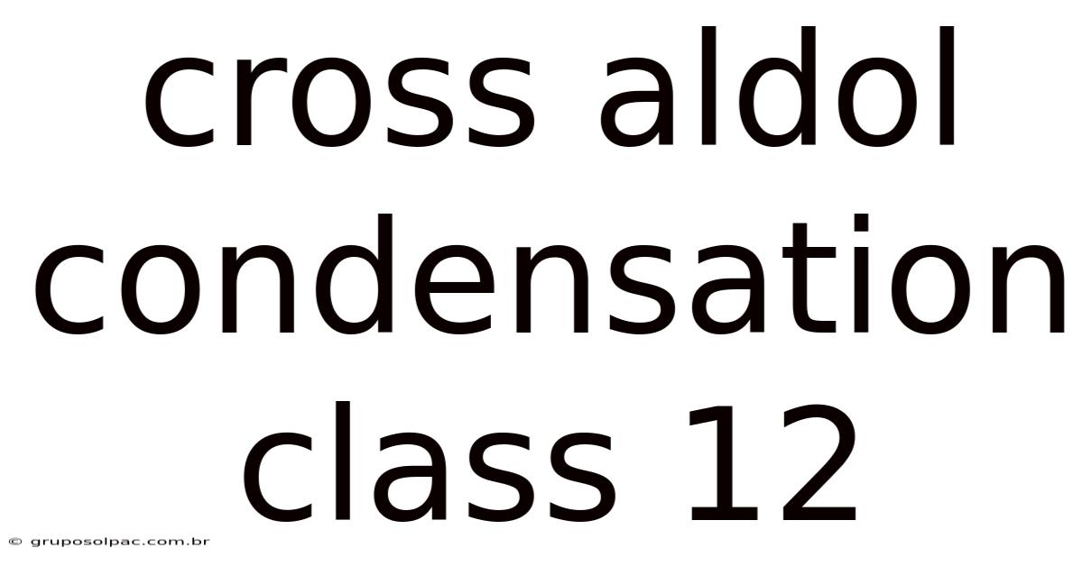 Cross Aldol Condensation Class 12