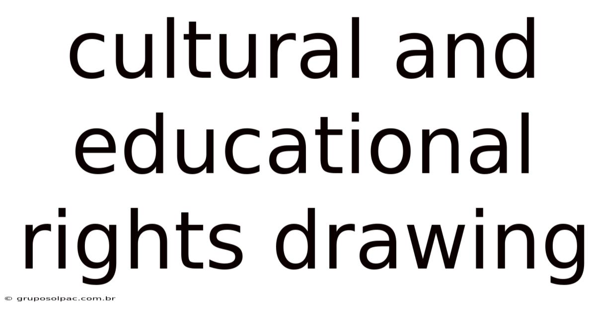 Cultural And Educational Rights Drawing