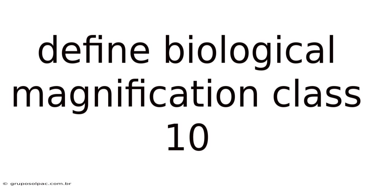 Define Biological Magnification Class 10
