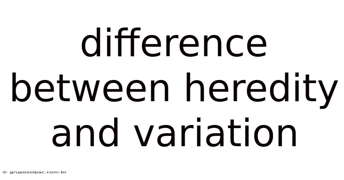 Difference Between Heredity And Variation