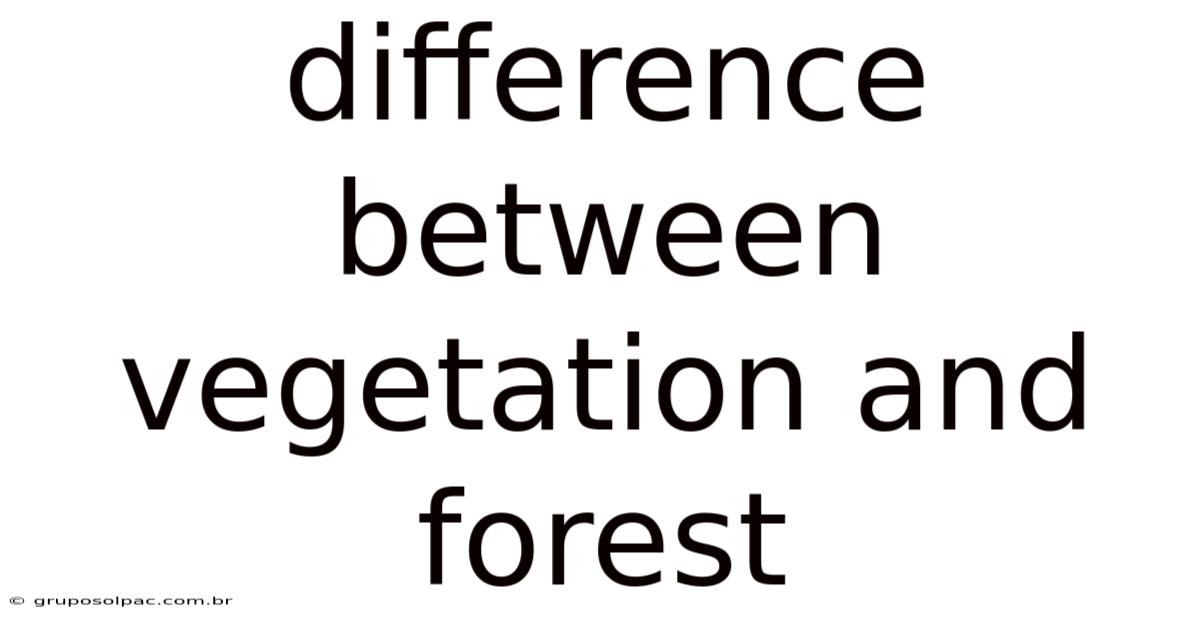 Difference Between Vegetation And Forest