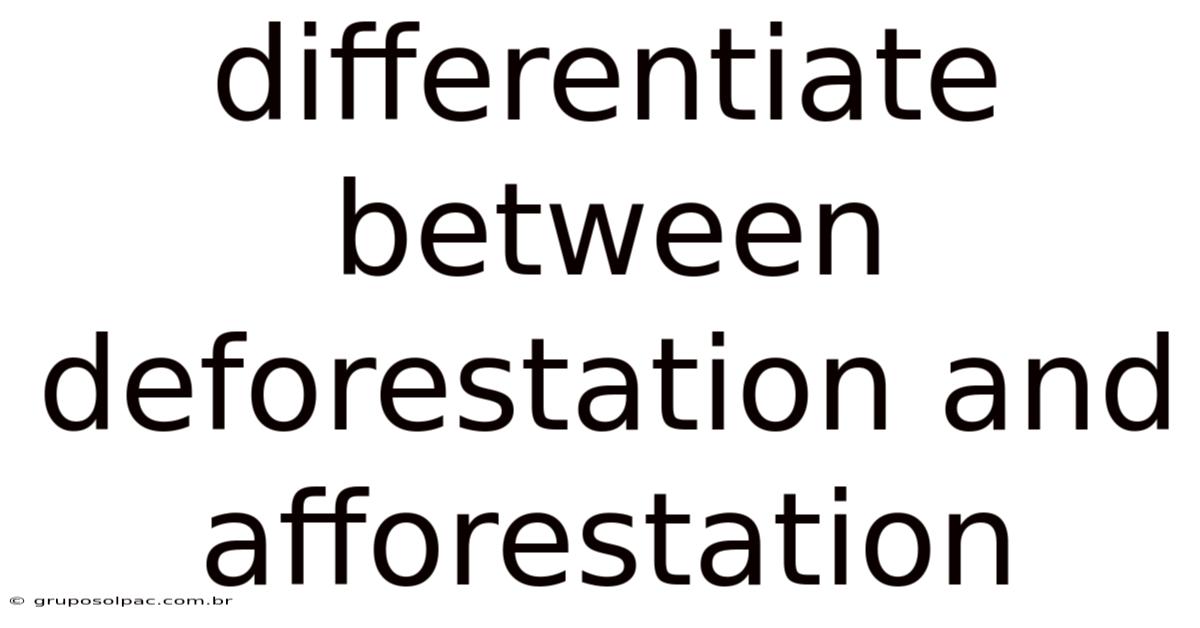 Differentiate Between Deforestation And Afforestation