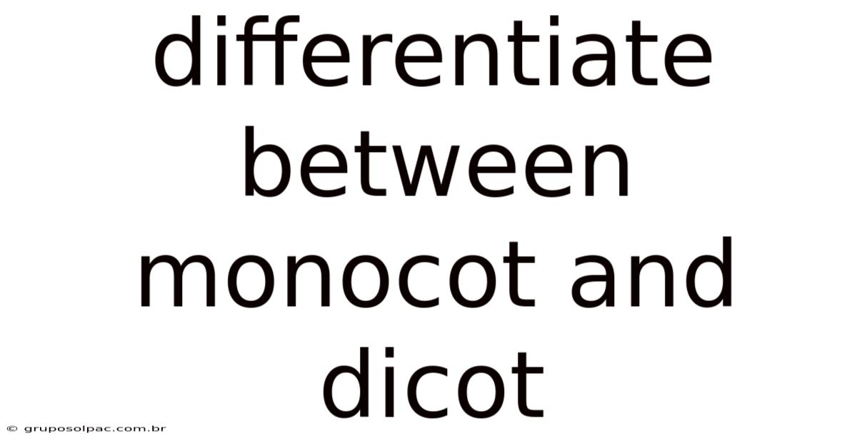 Differentiate Between Monocot And Dicot