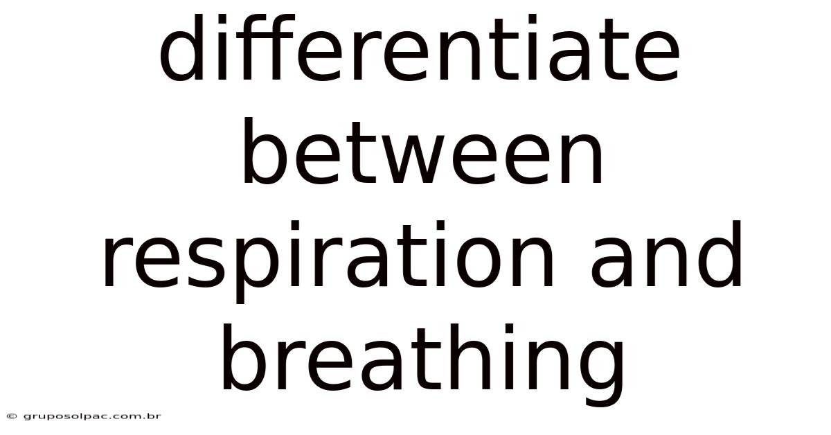 Differentiate Between Respiration And Breathing